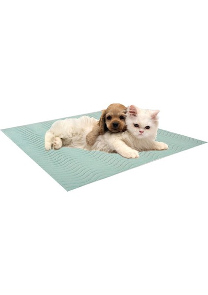 2'Li Paket 5 Katlı Kapitoneli, Yıkanabilir, Sıvı Geçirmez Köpek Çiş Pedi 75 X 90 Cm