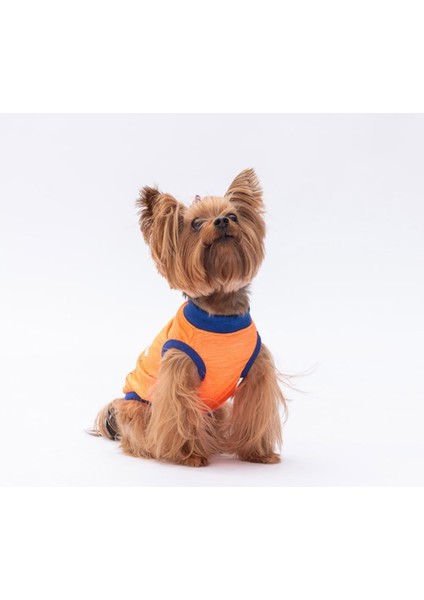 Neon Turuncu Be Kind Kedi Köpek Tişörtü - Kedi Köpek Kıyafeti fiyatları