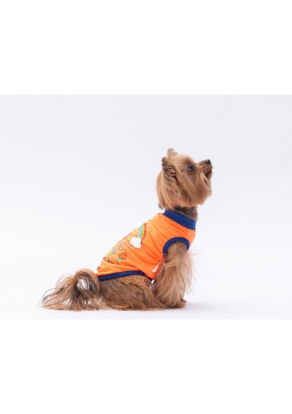 Neon Turuncu Be Kind Kedi Köpek Tişörtü - Kedi Köpek Kıyafeti modelleri