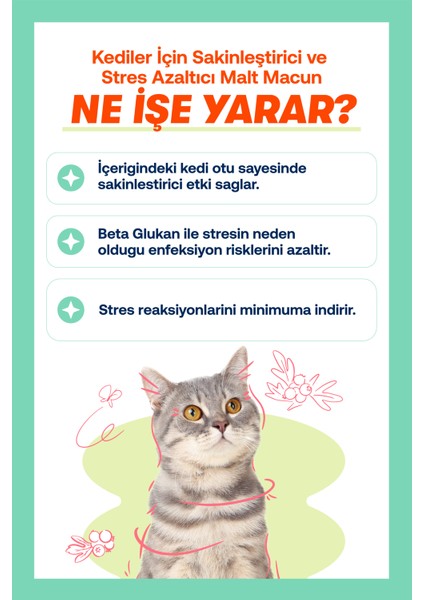 Kedi Stres Seti