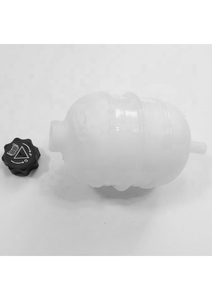 132311 1307LQ Peugeot 206 207 Için 206CC Citroen C2 Radyatör Tankı Soğutucu Genleşme Tankı Antifriz Su Isıtıcısı Haznesi (Yurt Dışından)