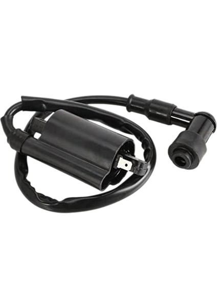 Motosiklet Ateşleme Bobini Yamaha GS125 GN125 VX250 Virago 1100 XV1100 XV-1100 1995-2007 Için Uygun (Yurt Dışından)
