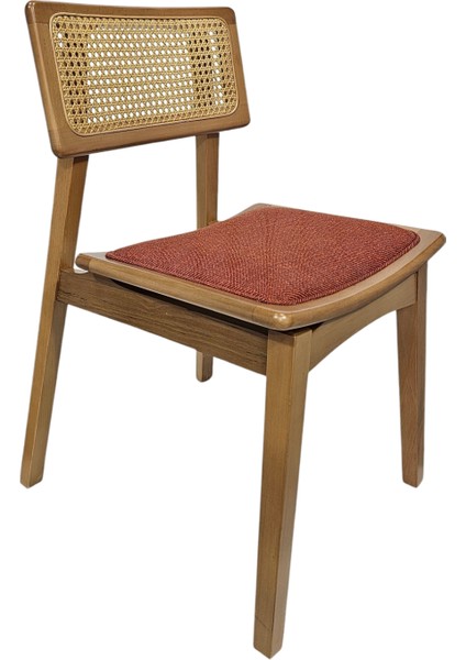 Hasağaç Carpino Ahşap Modern Sandalye