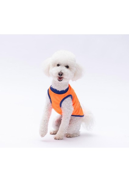 Neon Turuncu Happy Day Kedi Köpek Tişörtü - Kedi Köpek Kıyafeti
