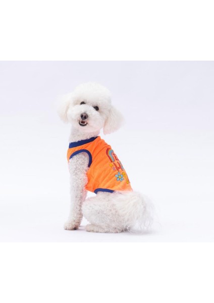 Neon Turuncu Happy Day Kedi Köpek Tişörtü - Kedi Köpek Kıyafeti