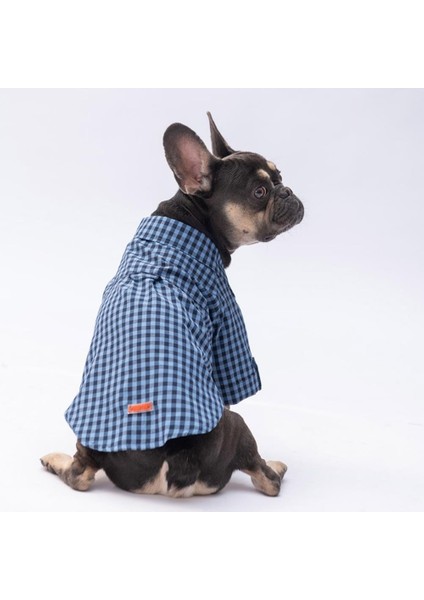 Mavi Luss Kedi Köpek Gömleği - Kedi Köpek Kıyafeti