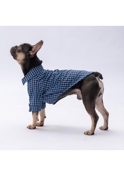 Mavi Luss Kedi Köpek Gömleği - Kedi Köpek Kıyafeti fiyatları