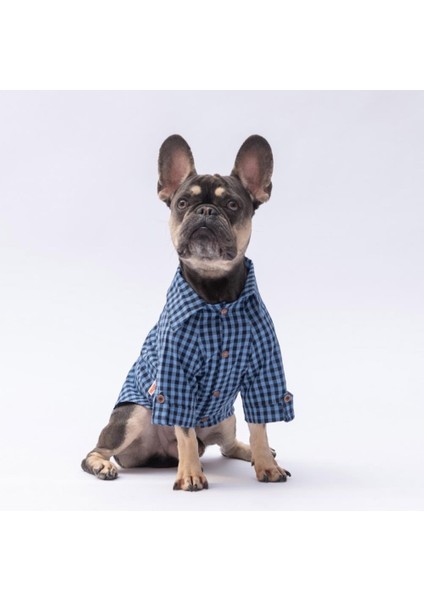 Mavi Luss Kedi Köpek Gömleği - Kedi Köpek Kıyafeti modelleri