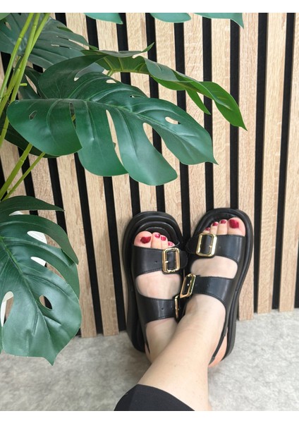 Günlük Kadın Sandalet Çift Tokalı Rahat Alçak Tabanlı Esnek Ayakkabı 313 indirimleri