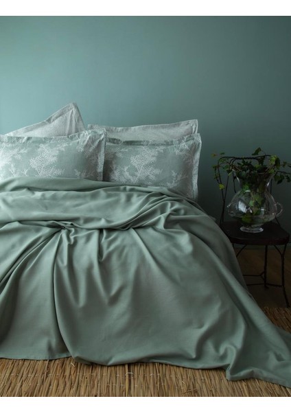 Apricitas Tanya Adaçayı Pike Takımı Tek Kişilik