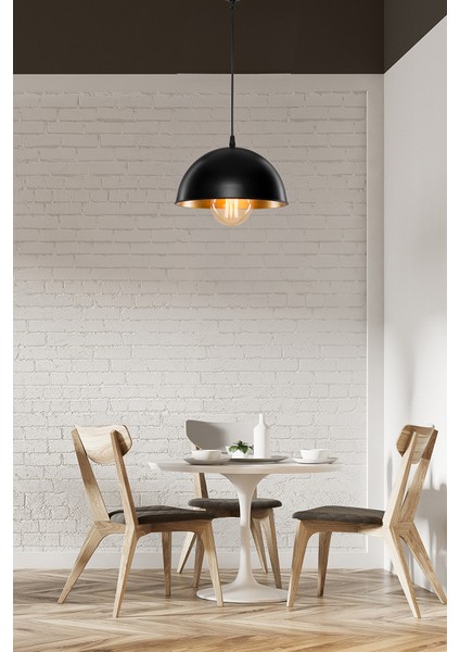 Haus Yarım Küre Siyah Içi Gold Abs Mutfak Hol Avize Kafe Kuaför Depo Aydınlatma Barista Sarkıt indirimleri