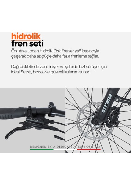 E-Spido Hidrolik Disk 20 Jant Katlanabilir Elektrikli Bisiklet