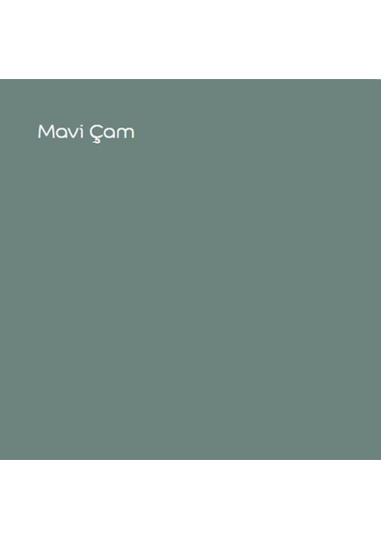 Maximum Mat Silikonlu Mavi Çam 15 Lt. (20 Kg)