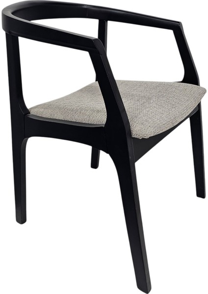 Hasağaç Iris Ahşap Modern Sandalye