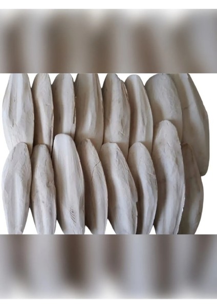 Ithal Traşlanmış Kalamar Kemiği 500 gr