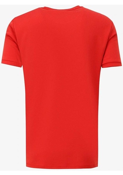 Bisiklet Yaka Kol Ucu Duble Slim Fit Erkek T-shirt fiyatları