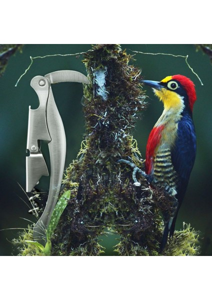 Youpin Daire Şevkli Paslanmaz Çelik Şarap Açacağı Çok Fonksiyonlu Taşınabilir (Yurt Dışından) indirimleri