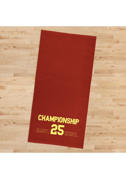 Championship Spor Havlusu fiyatları