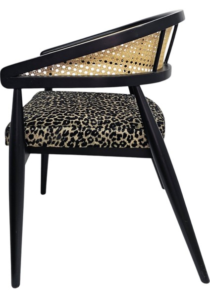 Perla Ahşap Modern Sandalye fiyatları