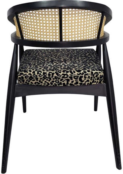 Perla Ahşap Modern Sandalye modelleri