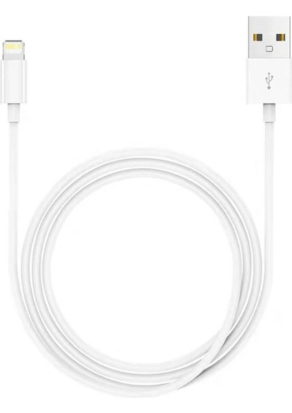 Apple iPhone 8 / 8 Plus Uyumlu 1 Metre Lightning Şarj ve Data Kablosu - Hızlı ve Dayanıklı