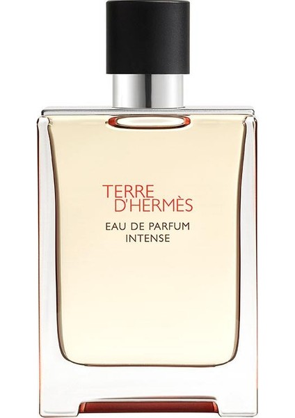 Terre D Hermes Edp Intense 100 ml