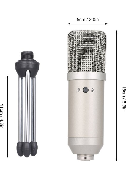 BM830 USB Kondansatör Mikrofon Katlanabilir Stand Stüdyo Kaydı (Yurt Dışından)