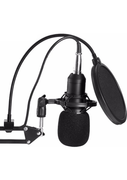 BM800 Profesyonel Kondansatör Mikrofon Seti (Yurt Dışından)