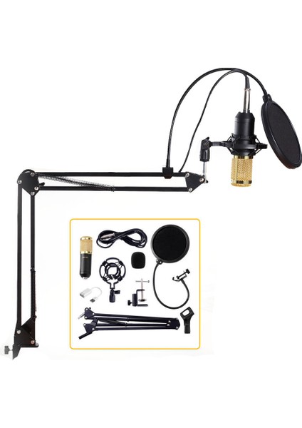 BM800 Profesyonel Kondansatör Mikrofon Seti (Yurt Dışından)