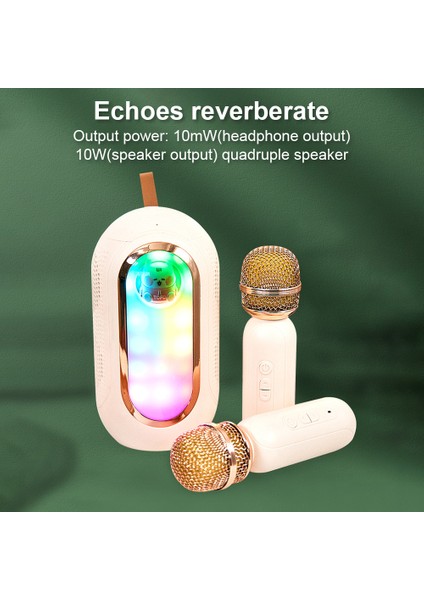 Mini Karaoke Makinası Kablosuz 2 Mikrofon Şarj Edilebilir LED Işıkları (Yurt Dışından)