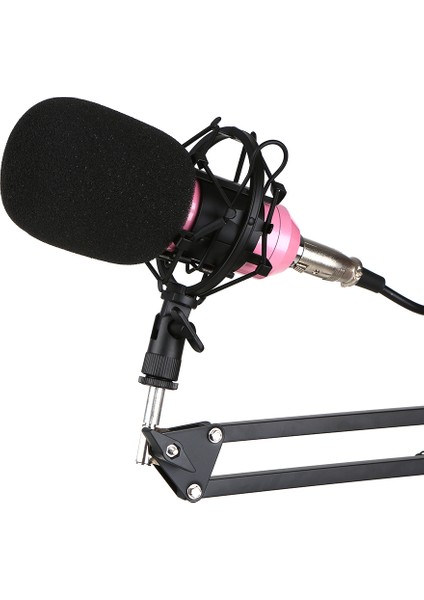 BM-800 Sıkıştırmalı Mikrofon Kayıt Için USB Montaj Stand Seti Siyah Altın (Yurt Dışından) fiyatları