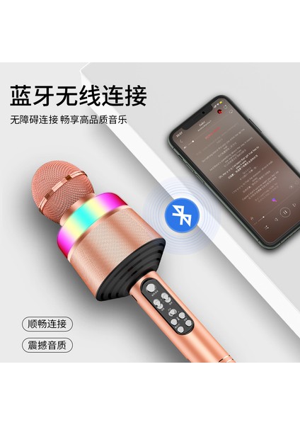 Q008 Kablosuz Bluetooth Mikrofon Kraliyet Mavisi Ses Değiştirici Karoke (Yurt Dışından) fiyatları