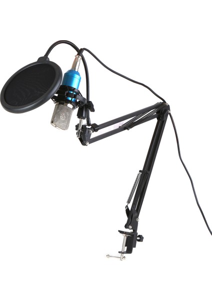 Profesyonel BM700 Kondansatör Mikrofon Altın (Yurt Dışından)