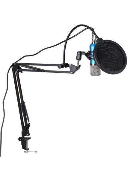 Profesyonel BM700 Kondansatör Mikrofon Altın (Yurt Dışından)