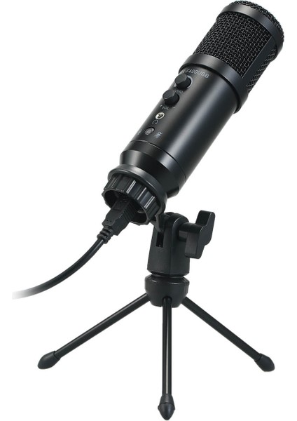 USB Mikrofon Tak ve Çalıştır Yankı Ayarlaması (Yurt Dışından)