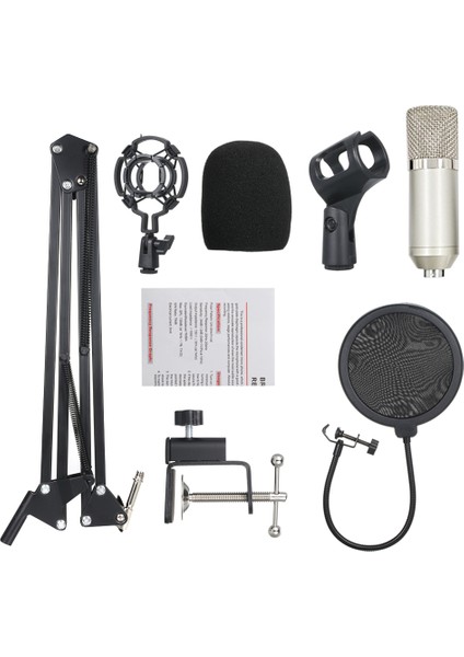 BM700 Profesyonel Gümüş Renkli Kondansatör Mikrofon (Yurt Dışından)