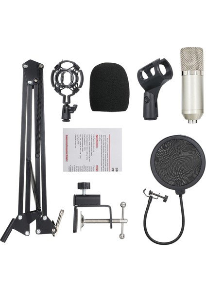BM700 Profesyonel Gümüş Renkli Kondansatör Mikrofon (Yurt Dışından)