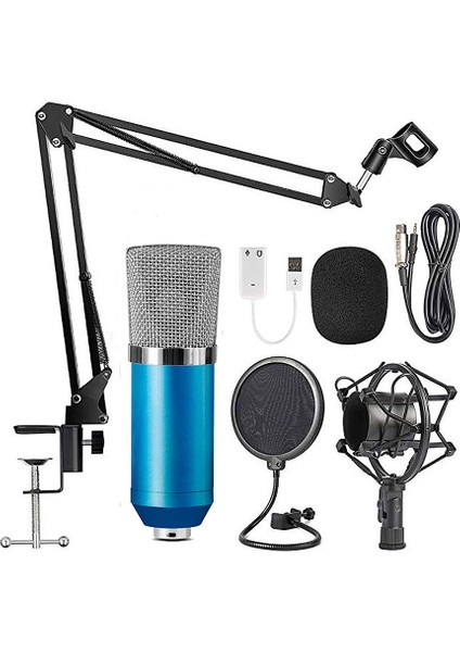 Profesyonel BM700 Kondansatör Mikrofon Mavi Ses Kaydı (Yurt Dışından)