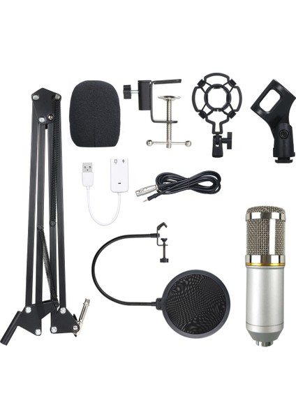 BM800 Profesyonel Kondansatör Mikrofon Seti (Yurt Dışından)