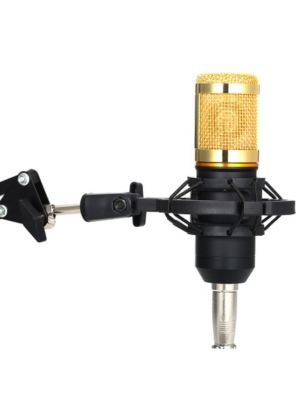 BM800 Profesyonel Kondansatör Mikrofon Seti (Yurt Dışından)