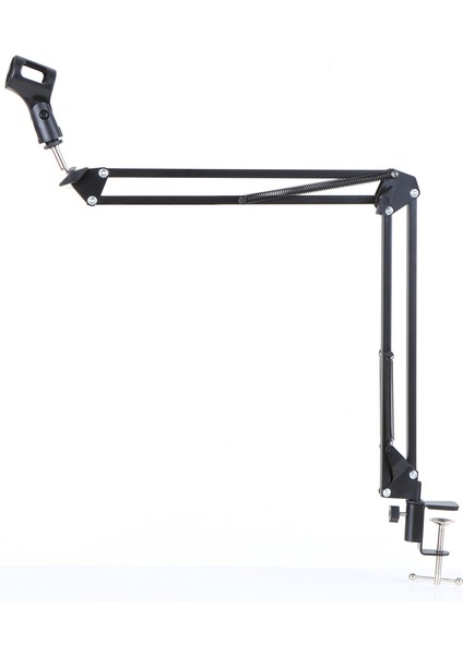 BM800 Profesyonel Kondansatör Mikrofon Seti (Yurt Dışından)
