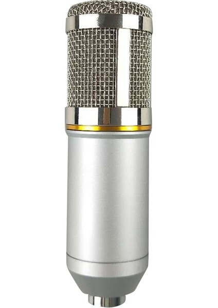 BM800 Profesyonel Kondansatör Mikrofon Seti (Yurt Dışından)