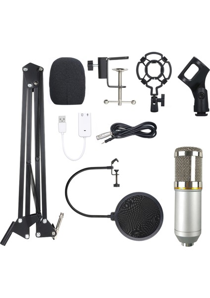 BM800 Profesyonel Kondansatör Mikrofon Seti (Yurt Dışından)