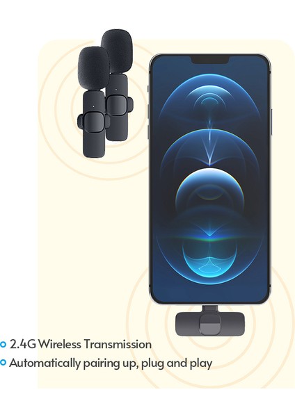 Mini Kablosuz Lavalier Mikrofon 2 Verici 1 Alıcı Yönsüz Yastığı (Yurt Dışından) indirimleri