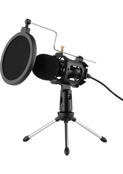 Video Mikrofon Seti Mini Tripod Pop Filtresi (Yurt Dışından)