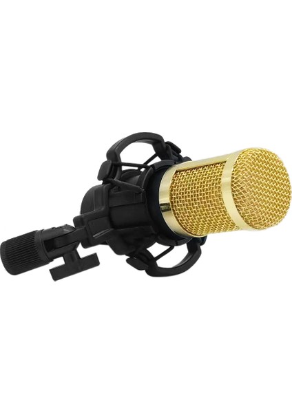 BM800 Taşınabilir Yüksek Hasiyetli Kondansatör Mikrofon (Yurt Dışından)