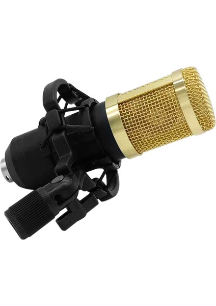 BM800 Taşınabilir Yüksek Hasiyetli Kondansatör Mikrofon (Yurt Dışından)