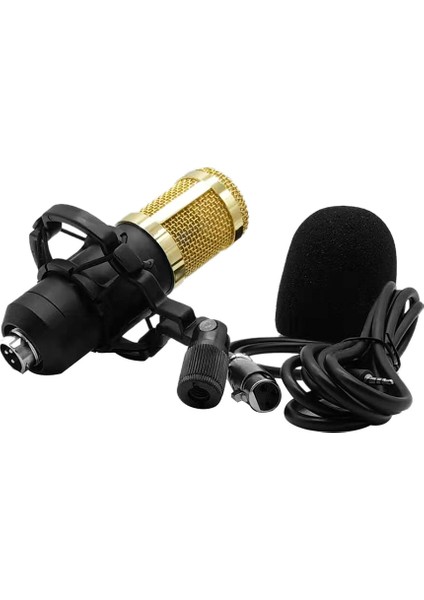 BM800 Taşınabilir Yüksek Hasiyetli Kondansatör Mikrofon (Yurt Dışından)