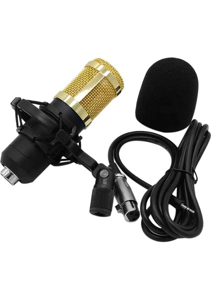 BM800 Taşınabilir Yüksek Hasiyetli Kondansatör Mikrofon (Yurt Dışından)