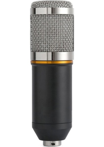 BM800 Profesyonel Kondansatör Mikrofon Asma Seti (Yurt Dışından)